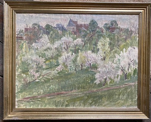 Frühling obstbaumblüte - ::frÜhling,
