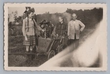 Ernte am Lehmberg in der