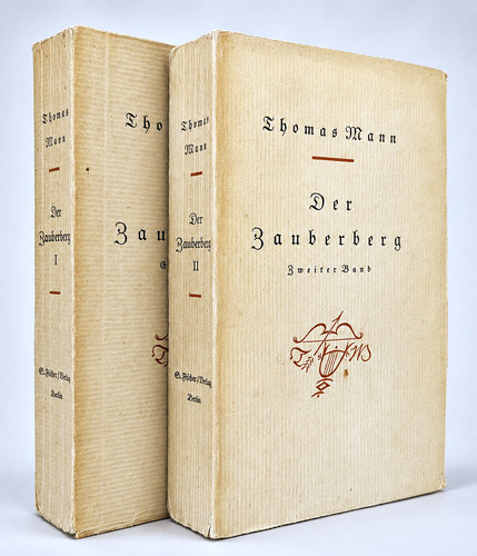 Thomas mann der zauberberg - thomas,