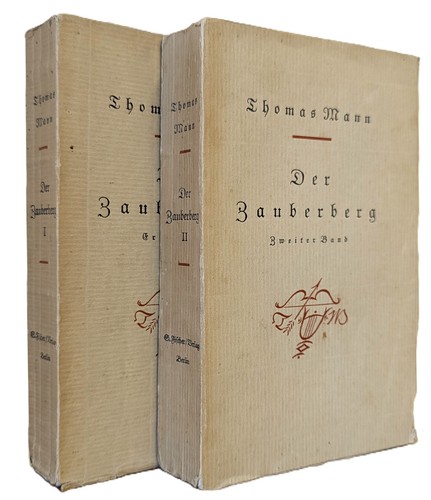 Thomas mann der zauberberg - mann,