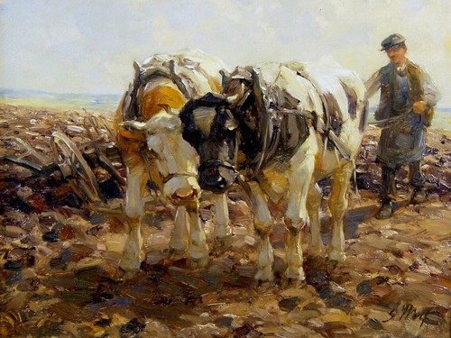 Georg wolf 1882 düsseldorf - 1882,