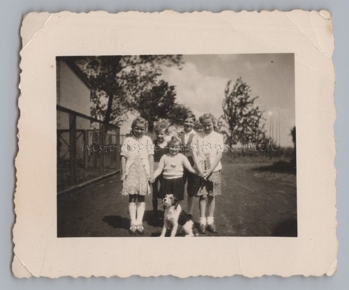 Kinder mit hund - kinder,